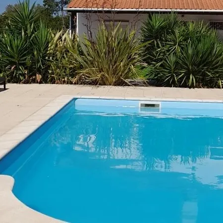 Casa de Férias Casa Calado *