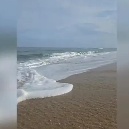 Casa Calado Casa de Férias