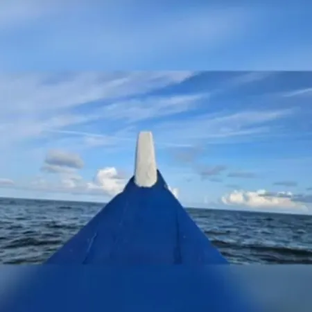 Casa Calado * Cadima