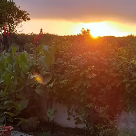 Сasa de vacaciones Casa Calado